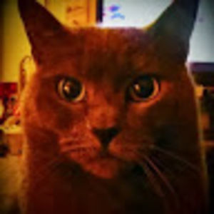 Meet your Posher, Margaret